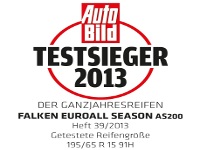 Falken-Ohtsu AS200 195/65R15 H